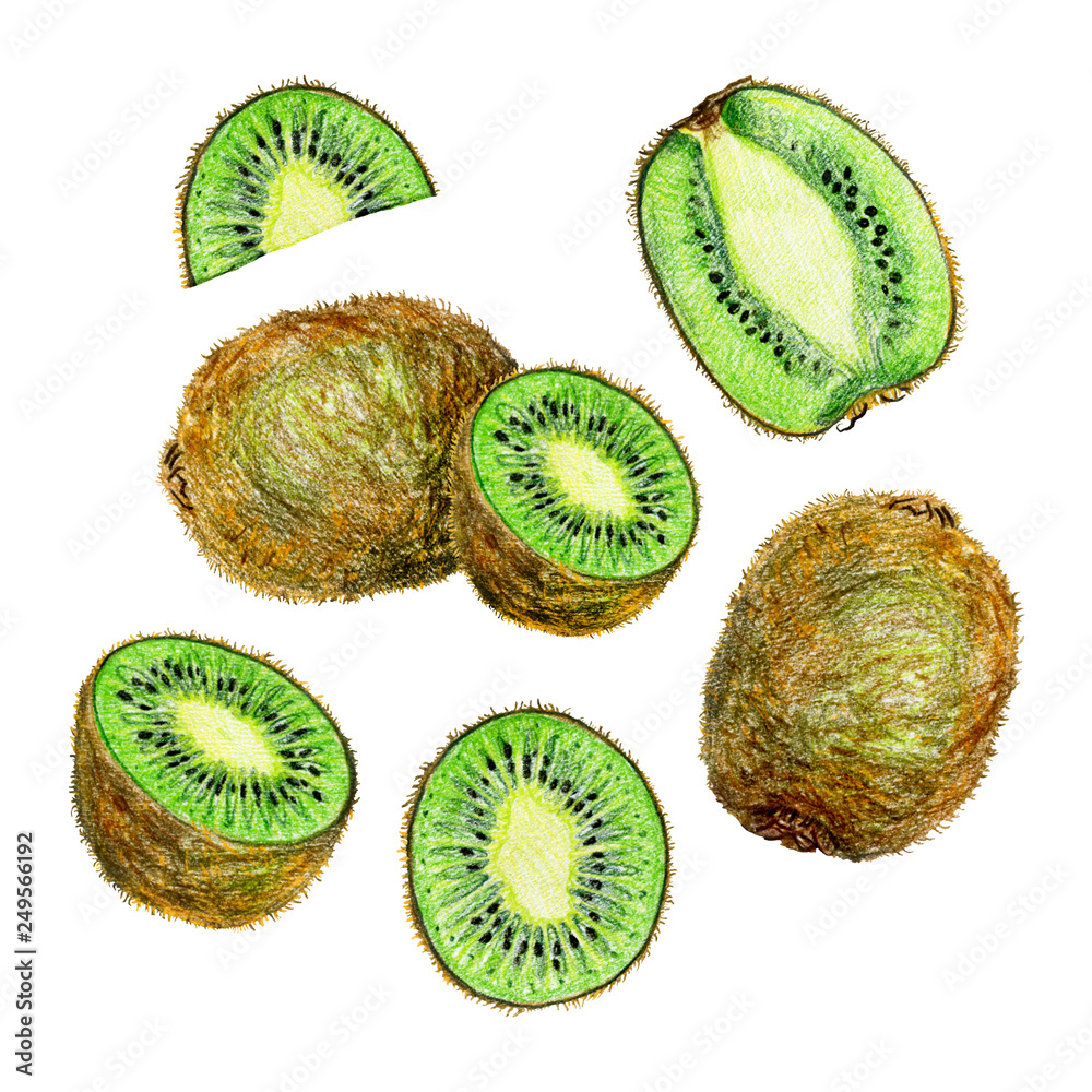 Fototapeta premium collection of kiwi isolated on white background. Whole fruits and slices
