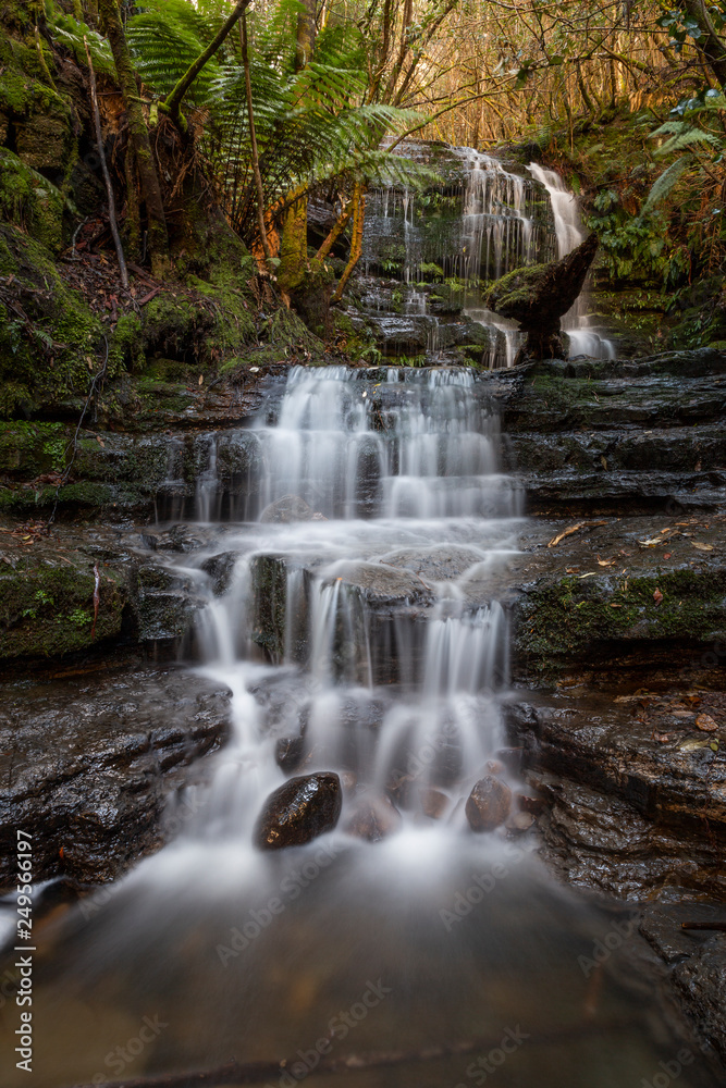 Obraz premium Myrtle Gully Falls, Tasmania