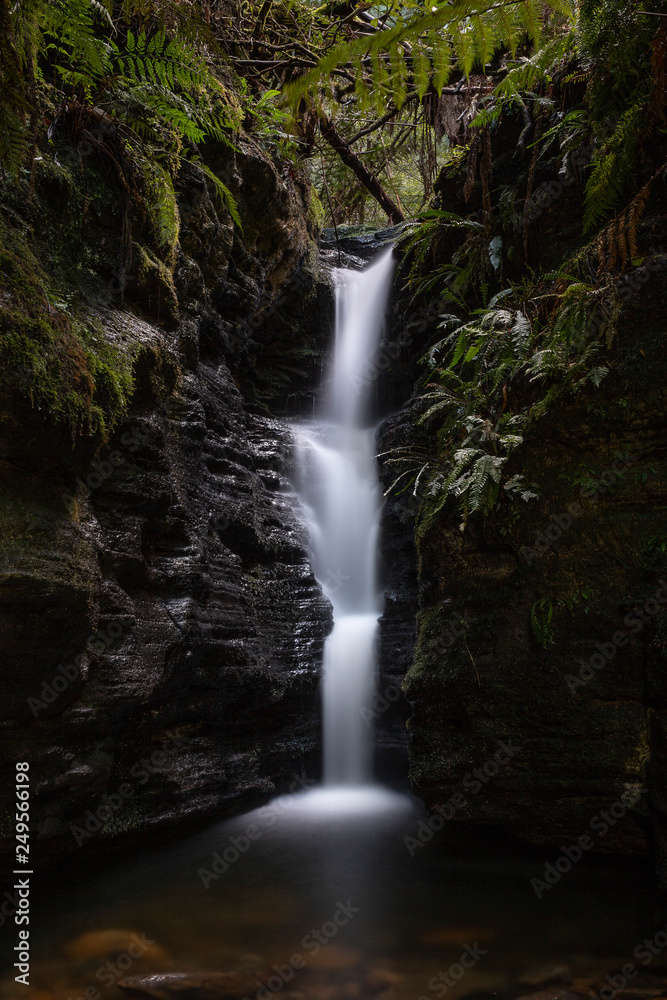 Fototapeta premium Secret Falls, Hobart Tasmania