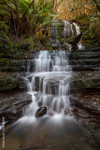 Fototapeta Naklejka Na Ścianę i Meble -  Myrtle Gully Falls, Tasmania