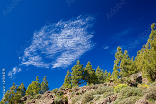 Gran Canaria, February photo