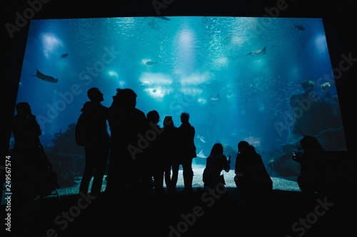 Oceanarium Underwater World. Group of People Watching Fish in a Oceanarium. Beauty of the Lisbon Oceanarium. The Dark Silhouettes of Visitors in the Backlight photo