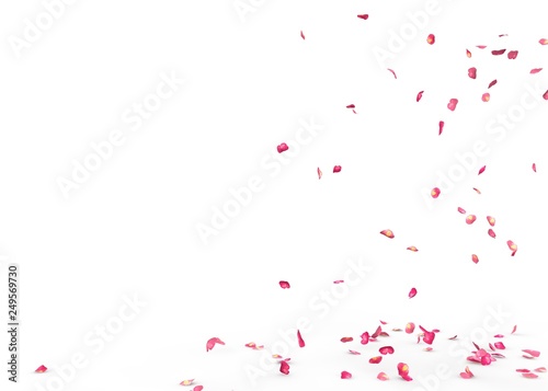 Small rose petals fly and fall to the floor