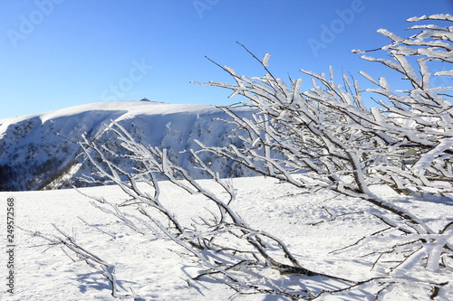 Les Vosges et le Hohneck en hiver photo