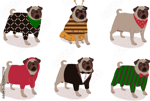Canvas Print Set of cute pug dogs in funny dog clothes, vector animals