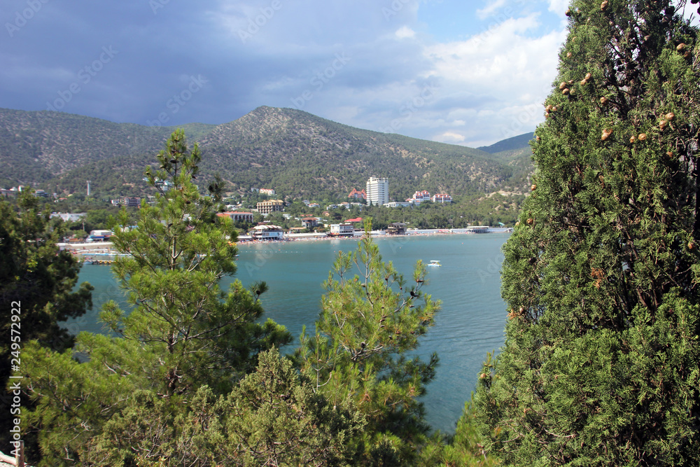 view of the resort coastal town at the foot of the green mountains through the green branches of pine and juniper