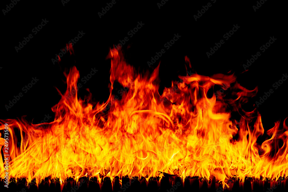 Fire flames on a black background