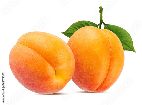 Fresh apricots with leaves isolated on white background with clipping path