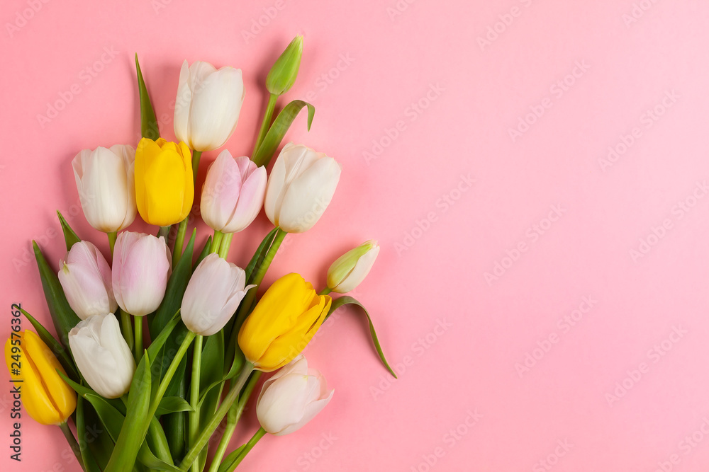 Fototapeta Beautiful white, pink and yellow tulips flowers for holiday.