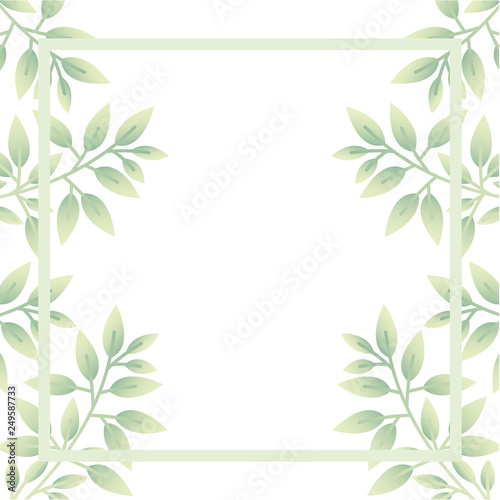 branch and leaf with frame isolated icon