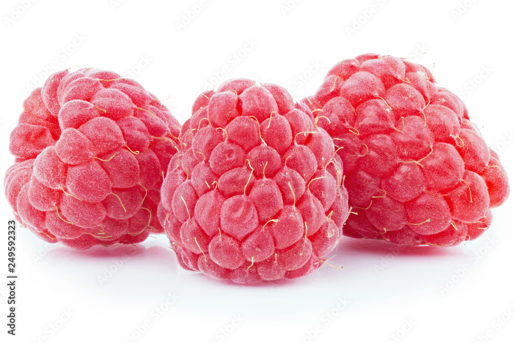 a bunch of fresh raspberries isolated a bunch of fresh raspberries isolated