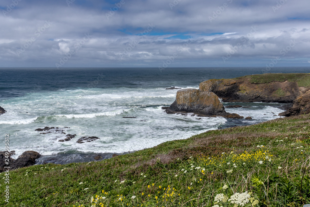 Oregon Coast waves crashing on rocks with landscape