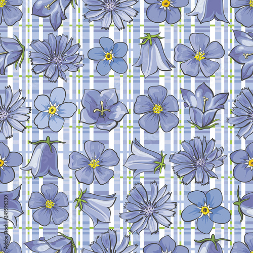 Vector illustration of blue wild flowers on checkered background seamless pattern.