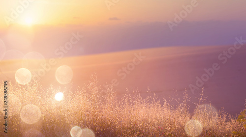 Art abstract sunny meadow background