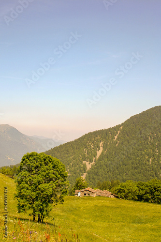 Mountain view with wild meadow  old stone houses and forest covered peaks in springtime  Sampeyre  Piedmont  Alps  Italy