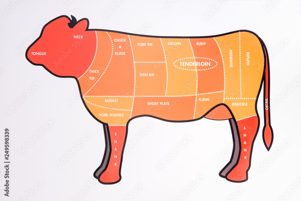 Cut pork chicken beef cow, diagram for butcher. Poster for butcher shop. Guide for cutting.