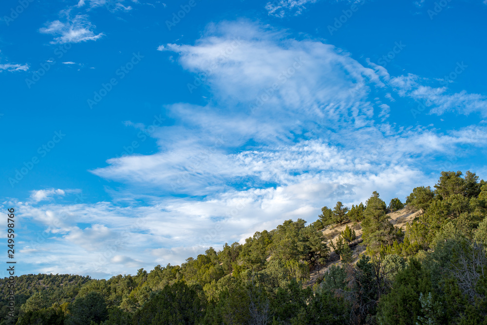 Mostly Sunny Skies above a Pinyon Juniper Woodland