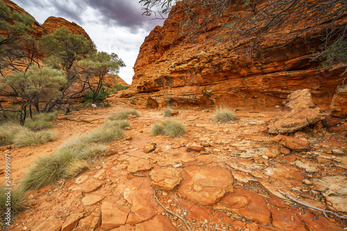 hiking in kings canyon in watarrka national park, northern territory, australia 28 photo