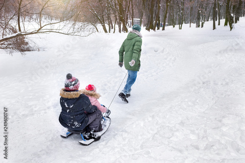A father is sledging their children in a sunny winter day. A family walk in the open air.