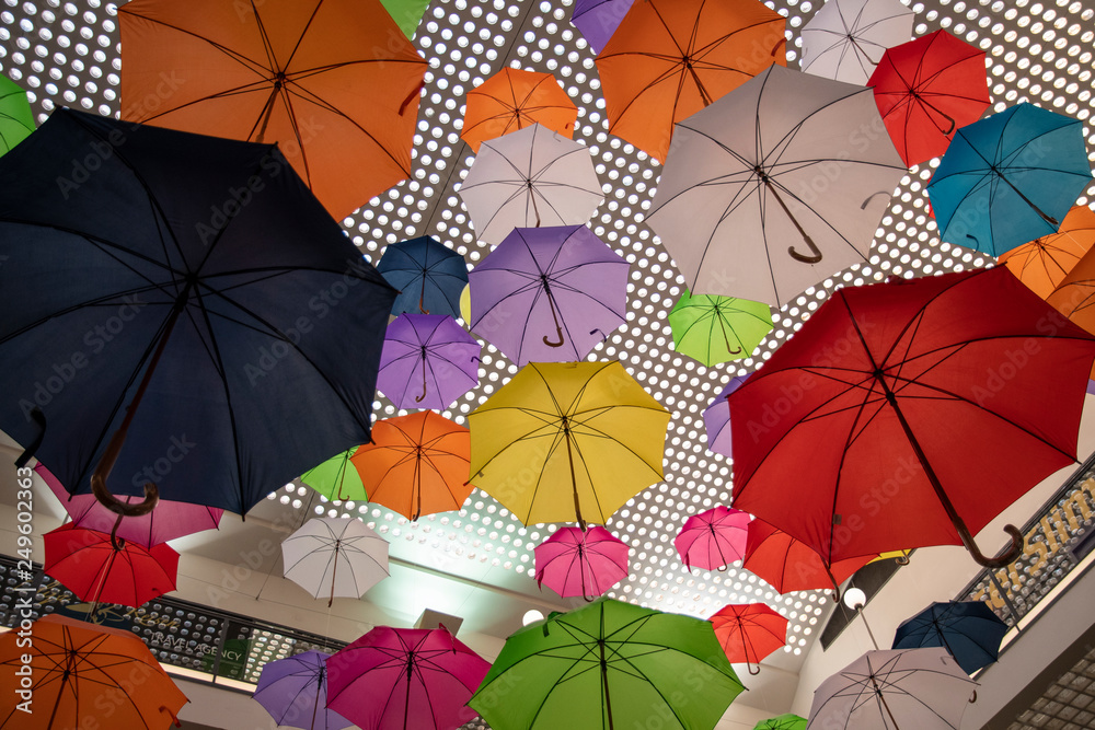color umbrellas