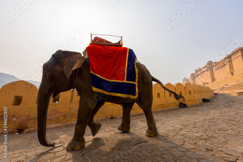 Big elephant in Amer Fort on the edge of the Aravalli Hills at Jaipur in the Indian state of Rajasthan, India.