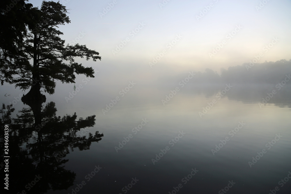 The fog is coming - Reelfoot Lake State Park, Tennessee