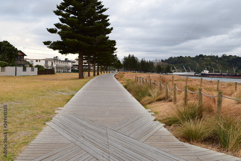 The empty path runs under the dark trees and through the beach grass in Gisborne, New Zealand.