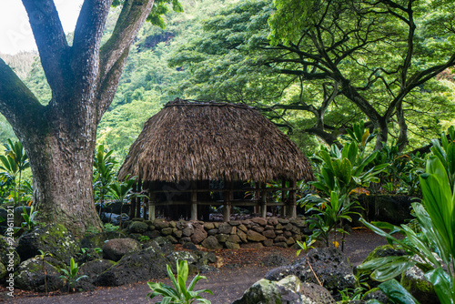 Cuadro en lienzo Waimea Valley Hawaiian Huts 4