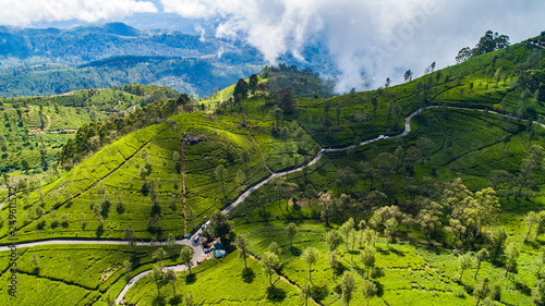 Aerial. Famous green tea plantation landscape view from Lipton's Seat, Haputale, Sri Lanka. photo