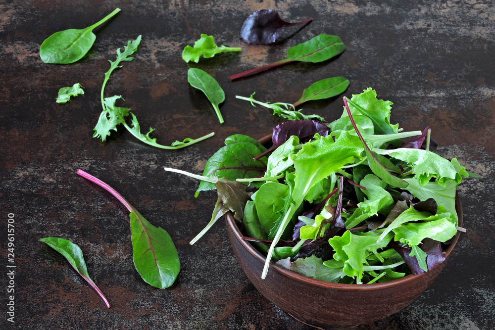 Mix baby salads in a bowl. Concept of healthy or dietary food. Superfoods Eco food. Fitness food. Mix baby salads in a bowl. Concept of healthy or dietary food. Superfoods Eco food. Fitness food.