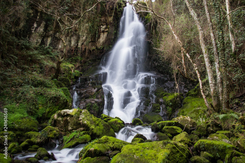 Cascada 