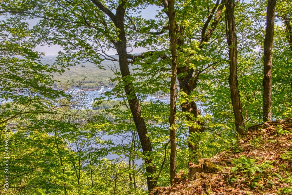 Fototapeta premium Great Bluffs State Park is located in South East Minnesota