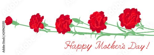 母の日のカーネーション