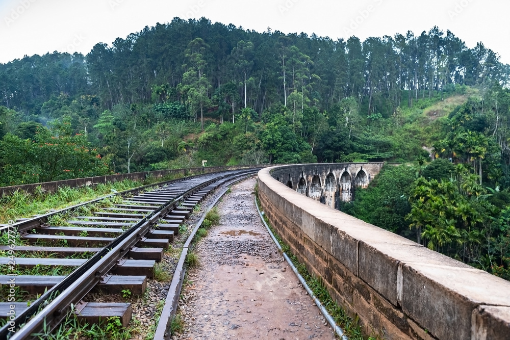 Fototapeta premium Famous Demodara Nine Arch Bridge. Ella, Sri Lanka.