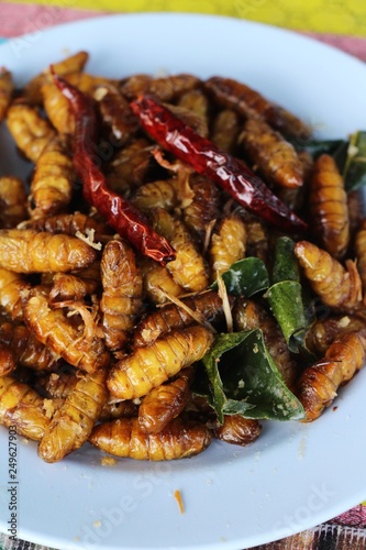 Fried silk worms delicious in street food