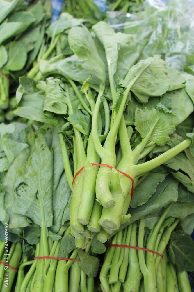 chinese kale for cooking at street food chinese kale for cooking at street food