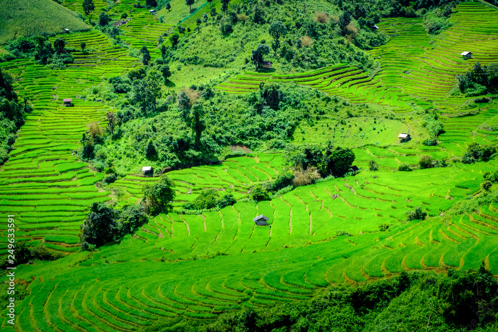Rice fields on terraced of Mae Long, Chiang Mai, Thailand. Thailand landscapes.