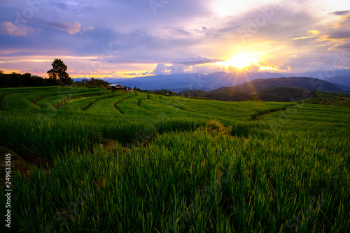 Rice fields on terraced of Pa Bong Piang with sunset, Chiang Mai, Thailand. Thailand landscapes.