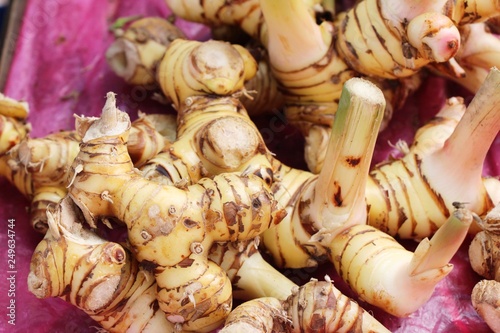Fresh galangal for cooking in the market