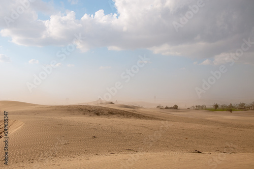 Dust storm in the desert 