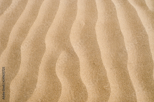 Sand ripples texture and background 