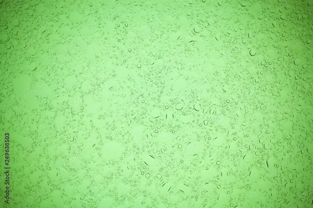 Obraz premium Rain droplets on green glass background, Water drops on green glass.