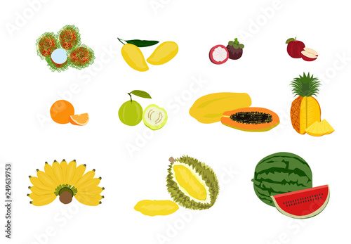 Various kinds of fruit white background,set of colorful fruit vector isolated