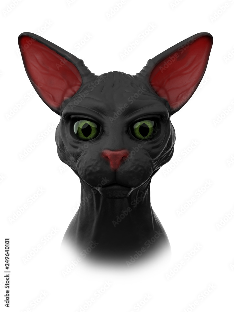 sphynx black cat