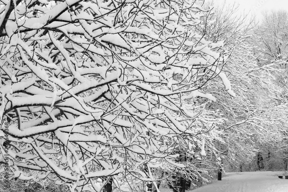 Winter Tale in Izmailovo, Moscow