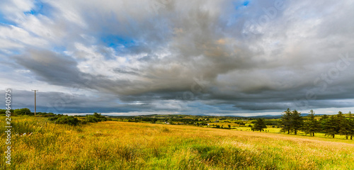 Landscape with yellow field and cloudy sky
