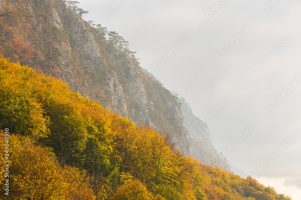 Fototapeta Autumn landscape in limestone mountains, with beautiful foliage, mist and black pine trees hanging on rocks