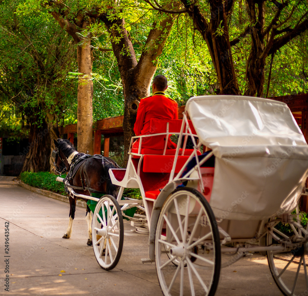 Obraz premium riding in a carriage