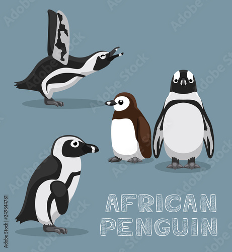 Tablou canvas African Penguin Cartoon Vector Illustration