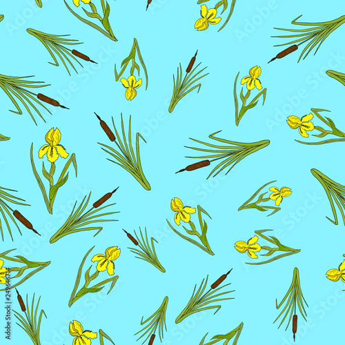 Nature seamless pattern with iris and cattail.